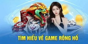 Rồng Hổ KUBET11